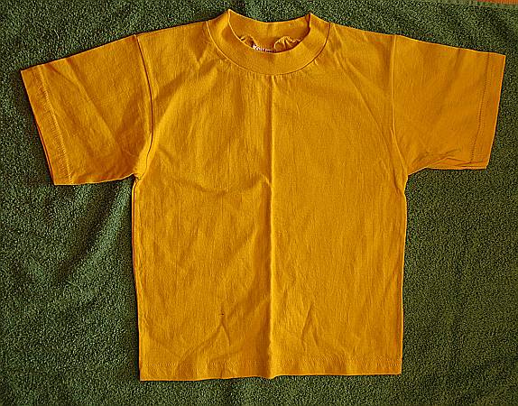 252.T skjorte - 110_116, 10 kr